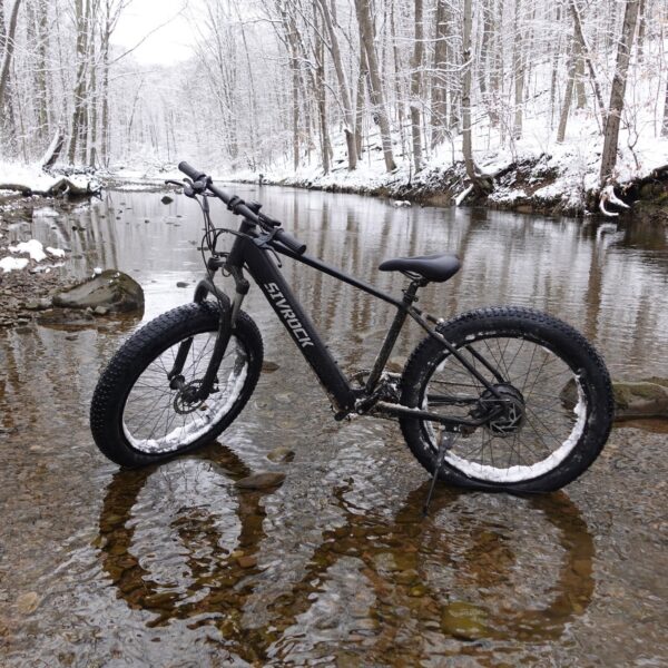 Professional Fat Tire Electric Mountain Bike, 1000W 25MPH 75 Mile Range eBike - Image 5