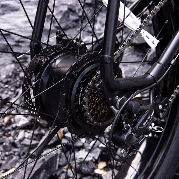 Professional Fat Tire Electric Mountain Bike, 1000W 25MPH 75 Mile Range eBike - Image 3