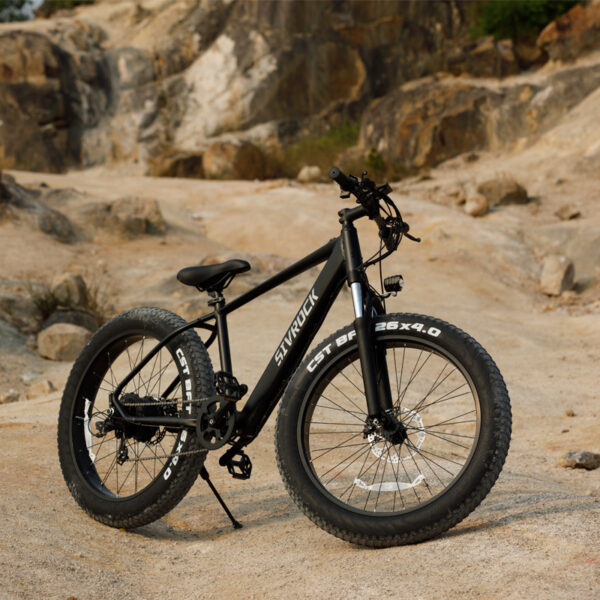 Professional Fat Tire Electric Mountain Bike, 1000W 25MPH 75 Mile Range eBike - Image 6