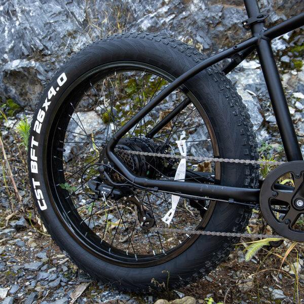 Professional Fat Tire Electric Mountain Bike, 1000W 25MPH 75 Mile Range eBike - Image 8